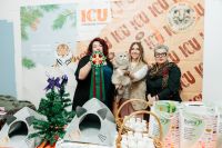 выставка_кошек_23-12-2023_14