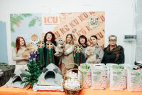 выставка_кошек_23-12-2023_10